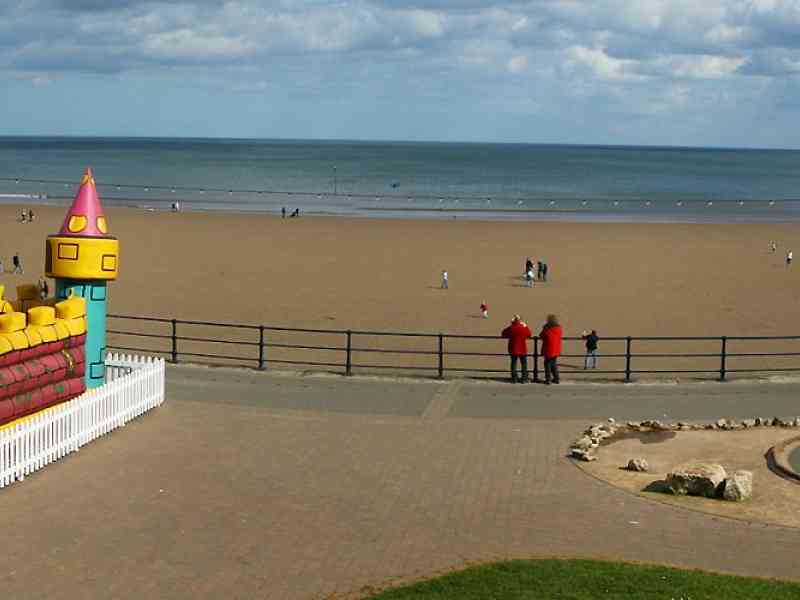 can you take dogs on beach in filey